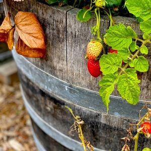 Meet your Posher, EK